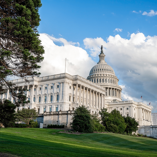 The U.S. Capitol building with its dome under a blue, partly cloudy sky, framed by trees and a green lawn. Image credit: wirestock - Magnific.com